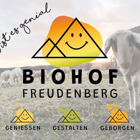 Ein Banner für Biohof Freudenberg mit einem lächelnden Schaf, grünen Symbolen und einer Herde von Schafen auf einer grasigen Wiese mit einem Scheunen im Hintergrund.