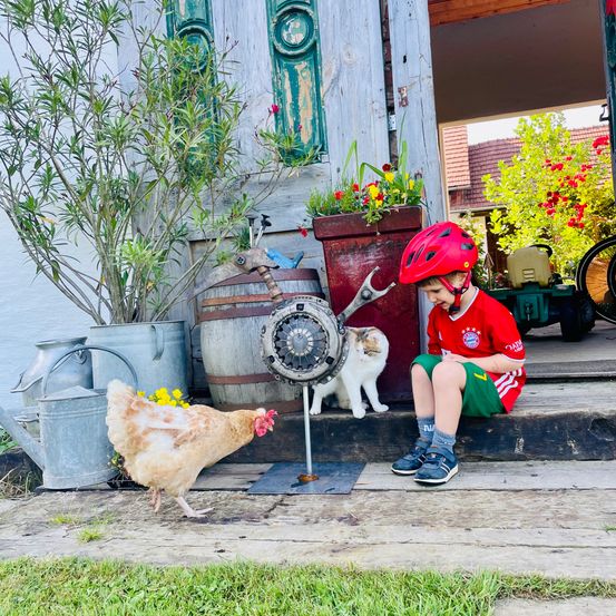Ein Junge mit rotem Helm und Fußballtrikot sitzt auf einer Veranda mit einer Katze und einem Huhn. Die Katze sitzt neben ihm, während das Huhn an einem Pedal pickt. Dahinter stehen Blumentöpfe und ein Fass.
