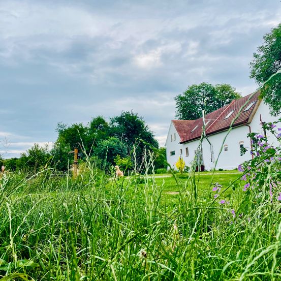 Ein weißes Haus mit rotem Dach steht inmitten eines üppigen grünen Gartens, umgeben von hohem Gras und Bäumen. Der Himmel ist teilweise bewölkt.