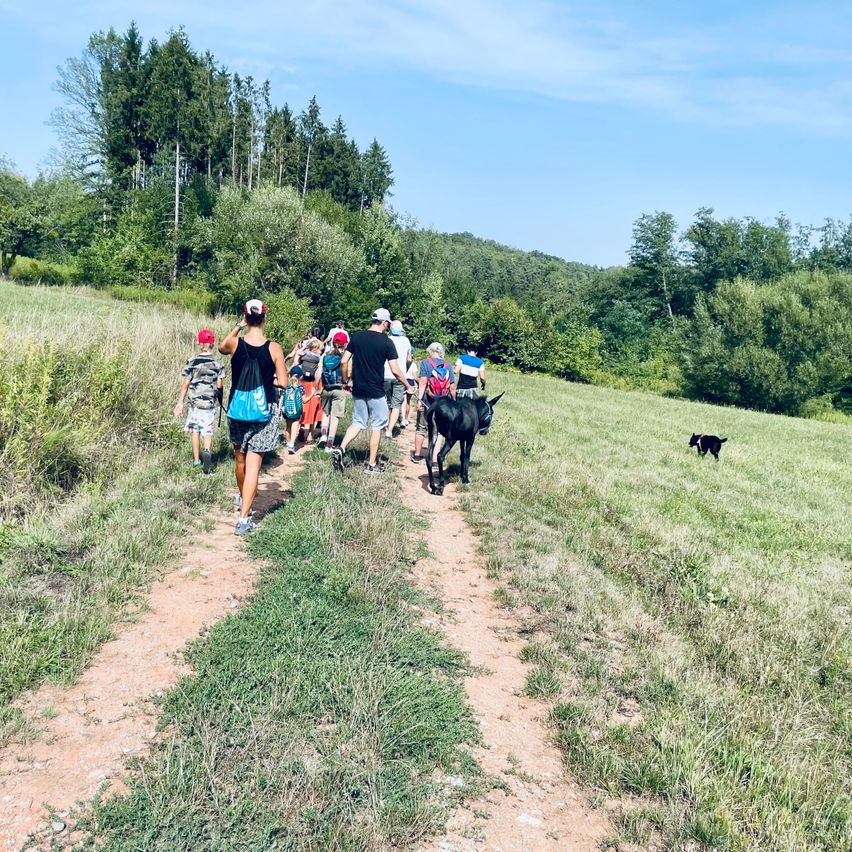 Eine Gruppe von Menschen wandert auf einem Feldweg in einem Grasfeld mit einem Esel und einem Hund.