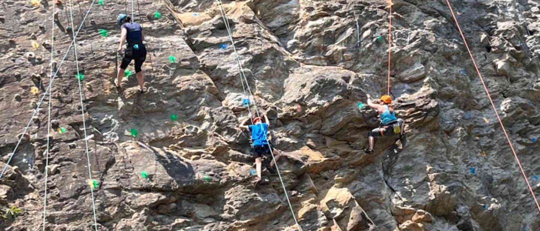 v1_migrated_image_52485982