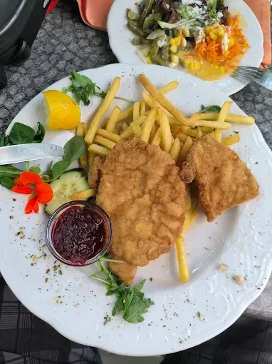 Ein Teller mit gebratenem Fisch, Pommes und Salat. Eine kleine Schüssel mit Cranberrysauce und eine Zitrone. Ein weiterer Teller im Hintergrund enthält einen gemischten Gemüsesalat.