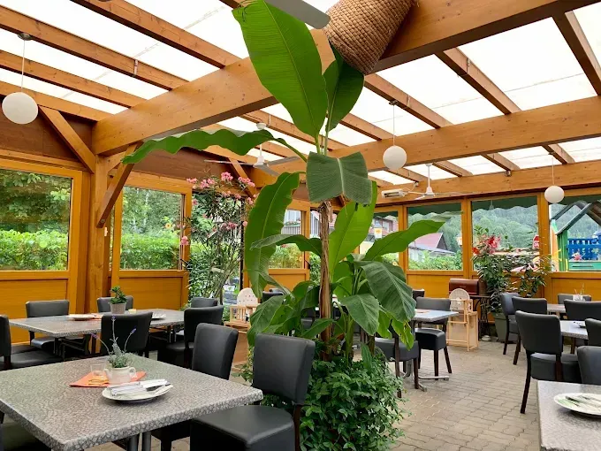 Ein Restaurant im Freien mit Holztischen und Stühlen. Eine große Bananenpflanze steht in der Mitte. Die Decke hat Holzbalken und Glasscheiben. Es gibt Pflanzen, Blumen und hängende Lampen.