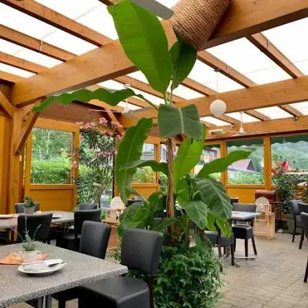 Ein Restaurant im Freien mit Holztischen und Stühlen. Eine große Bananenpflanze steht in der Mitte. Die Decke hat Holzbalken und Glasscheiben. Es gibt Pflanzen, Blumen und hängende Lampen.