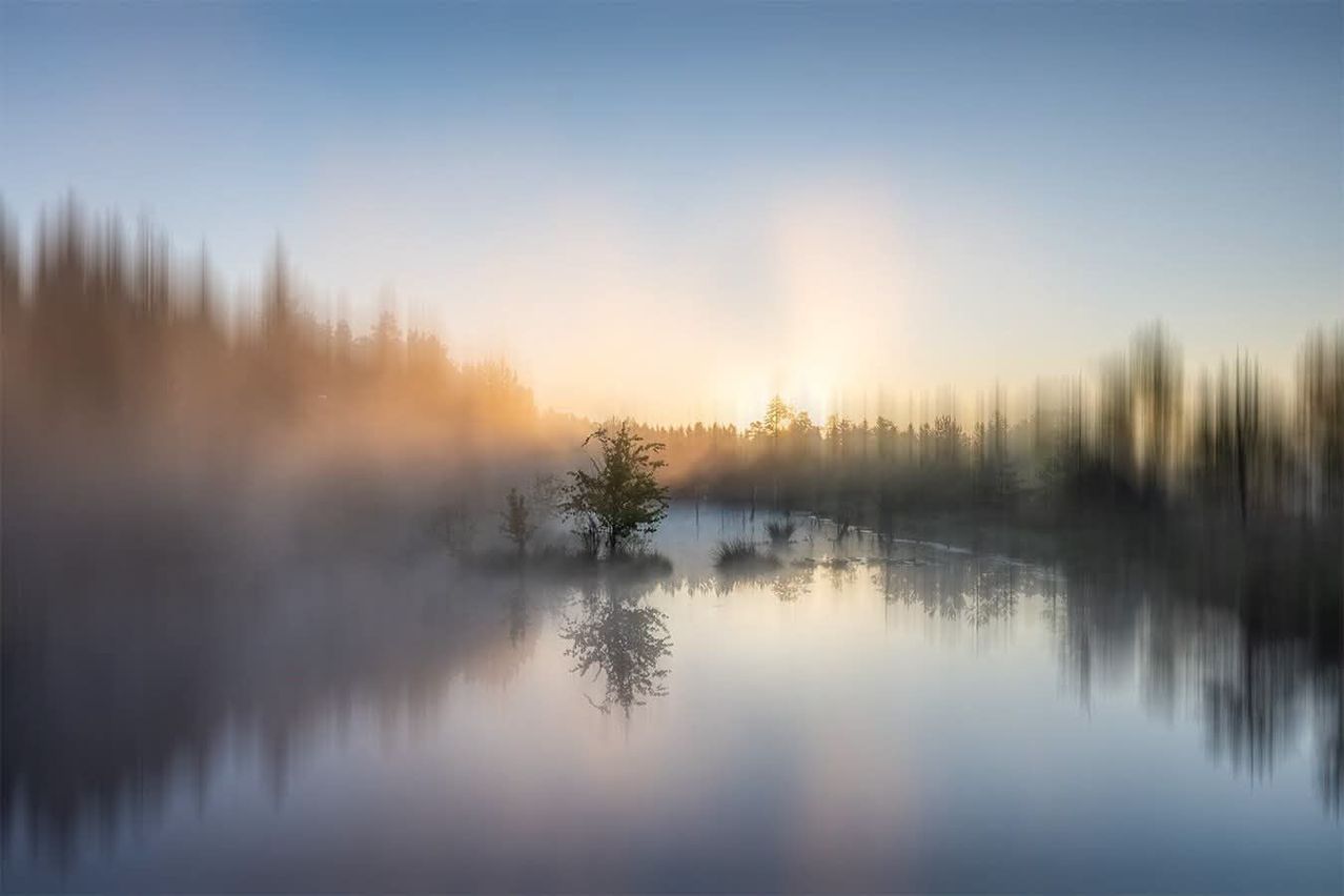 Ein ruhiger See mit einem einzelnen Baum in der Mitte, umgeben von einem nebligen Wald unter einem goldenen Sonnenaufgang.