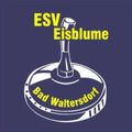 Esv Eisblume Bad Waltersdorf  logo