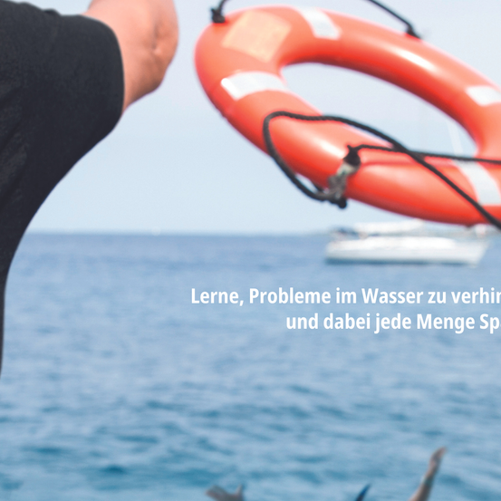 Bild enthält, Water, Adult, Male, Man, Person, Life Buoy, Animal, Bird