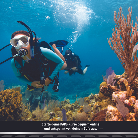 Bild enthält, Nature, Outdoors, Water, Adventure, Person, Scuba Diving, Sea, Fish, Reef, Face