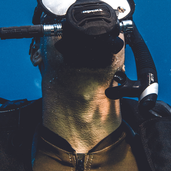 Bild enthält, Adventure, Nature, Outdoors, Person, Scuba Diving, Water, Adult, Male, Man, Head