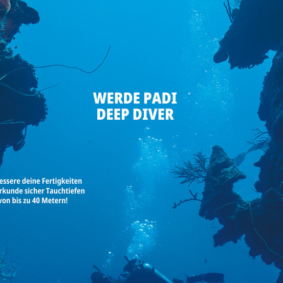 Bild enthält, Outdoors, Nature, Water, Sea, Reef, Sea Life, Adventure, Leisure Activities, Scuba Diving, Coral Reef