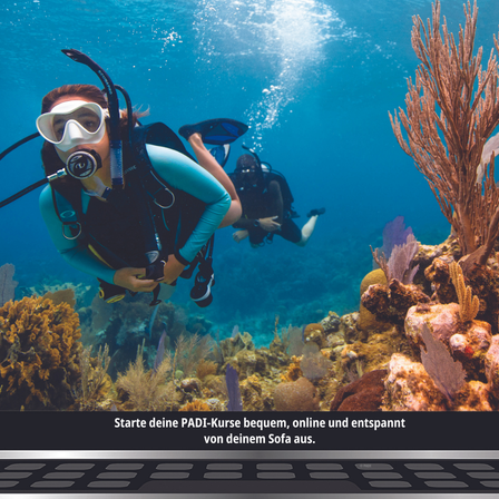 Bild enthält, Nature, Outdoors, Water, Adventure, Person, Scuba Diving, Fish, Sea, Pc, Reef