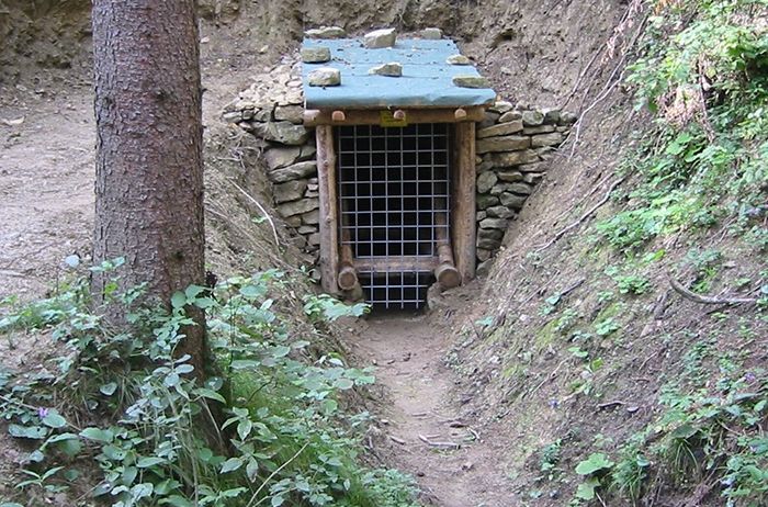 Ein kleiner hölzerner Bau, der einem Tunneleingang ähnelt, ist in einen Hang eingebettet. Er hat eine Steinmauer und ein grünes Dach. Der Eingang ist mit einem Metallgitter gesichert.