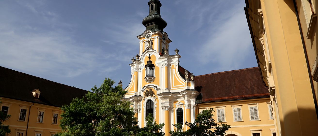 Ein gelbes Kirchengebäude mit einem hohen Turm, einer Uhr und Statuen steht vor einem braunen Gebäude mit einem Baum davor.