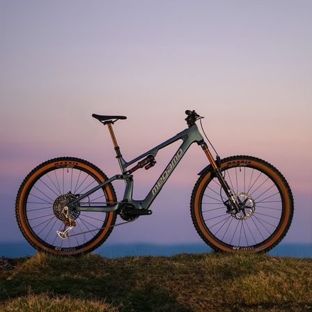 Ein grünes Mountainbike mit Maxxis-Reifen steht auf einem Grashügel mit Sonnenuntergang im Hintergrund.