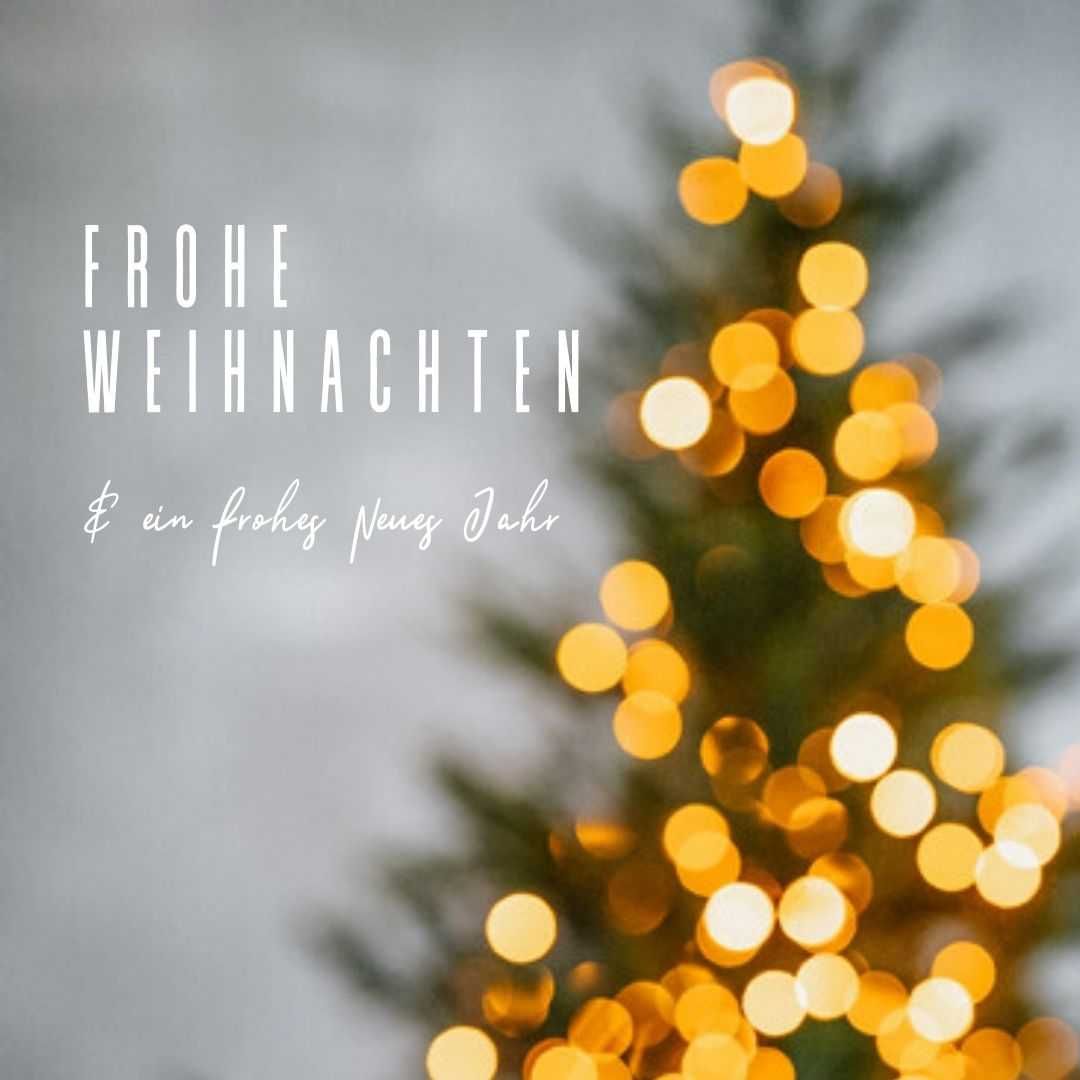 Bild enthält, Christmas, Christmas Decorations, Festival, Christmas Tree, Plant, Tree