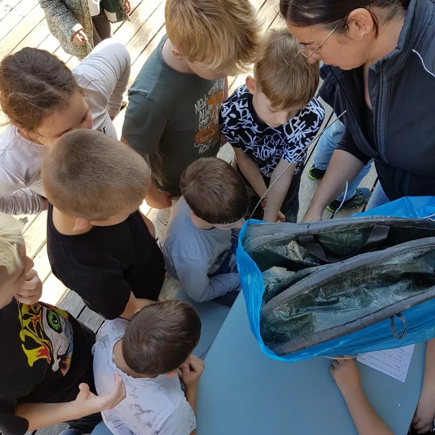 Gruppe von Kindern, Jungen und Mädchen, sind um eine blaue Tasche auf einem Tisch versammelt, die einen Fisch enthält, und sie schauen sich diesen an.