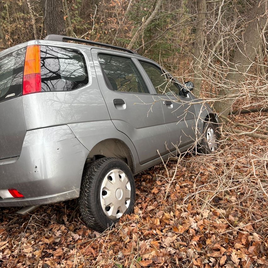 Ein grauer SUV steckt im Wald fest, mit beschädigtem Heckstoßfänger und Reifen. Das Auto ist von trockenen Blättern und Zweigen umgeben.