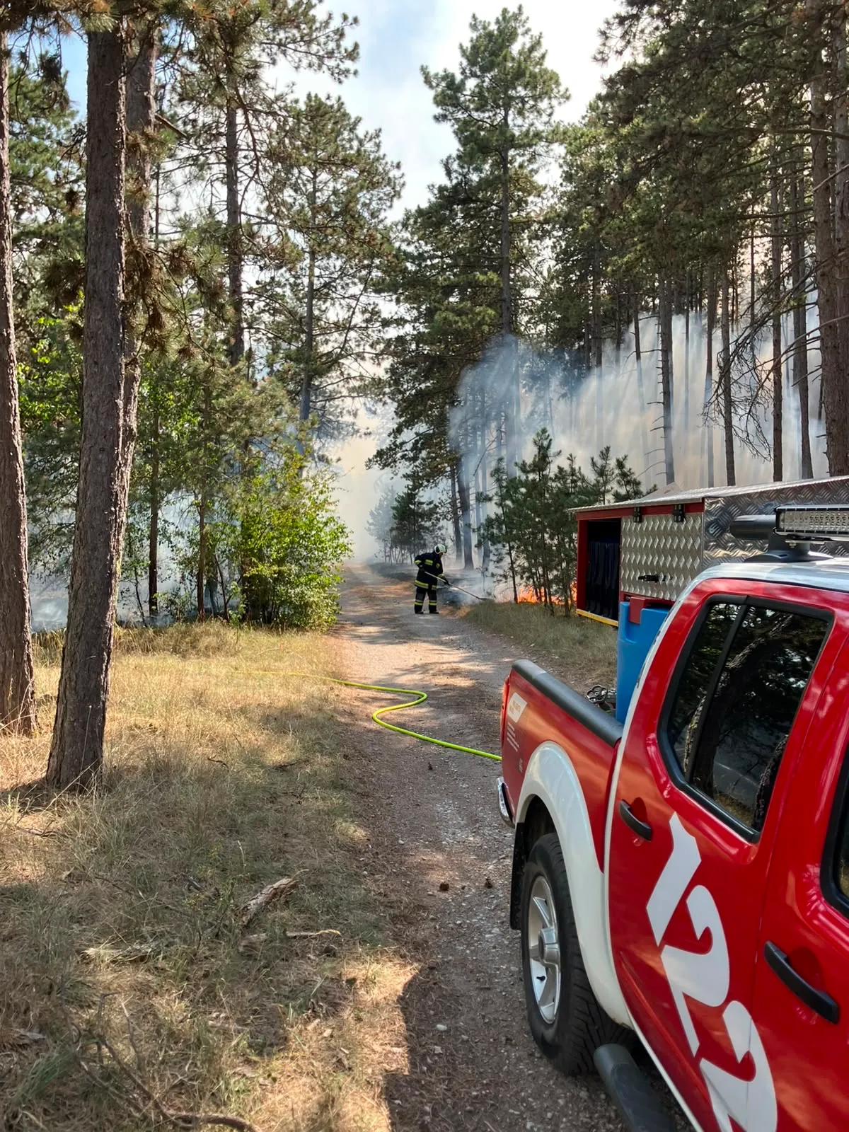 Ein Feuerwehrmann in voller Ausrüstung bekämpft einen Waldbrand, ein roter LKW ist in der Nähe geparkt und eine Schläuche liegt auf dem Boden.