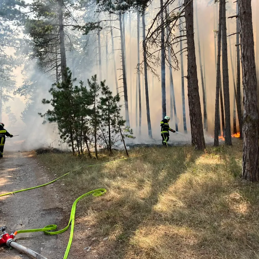 Zwei Feuerwehrleute bekämpfen einen Waldbrand, einer mit einer Feuerwehrspritze und der andere mit einem Werkzeug. Der Wald ist dicht mit hohen Bäumen und Rauch.