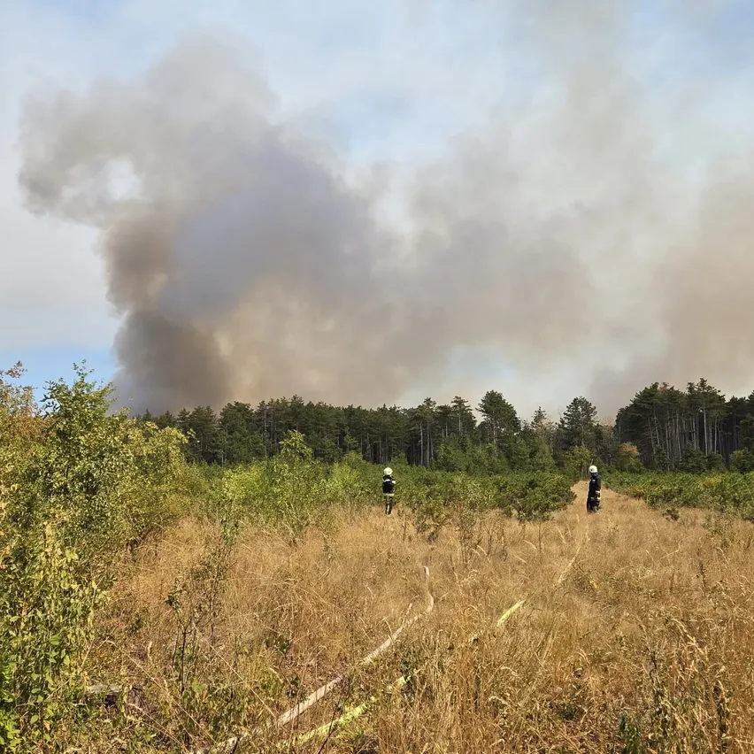Zwei Personen in Schutzkleidung gehen durch ein Feld mit hohem Gras und Büschen, mit einem Wald und Rauch im Hintergrund.