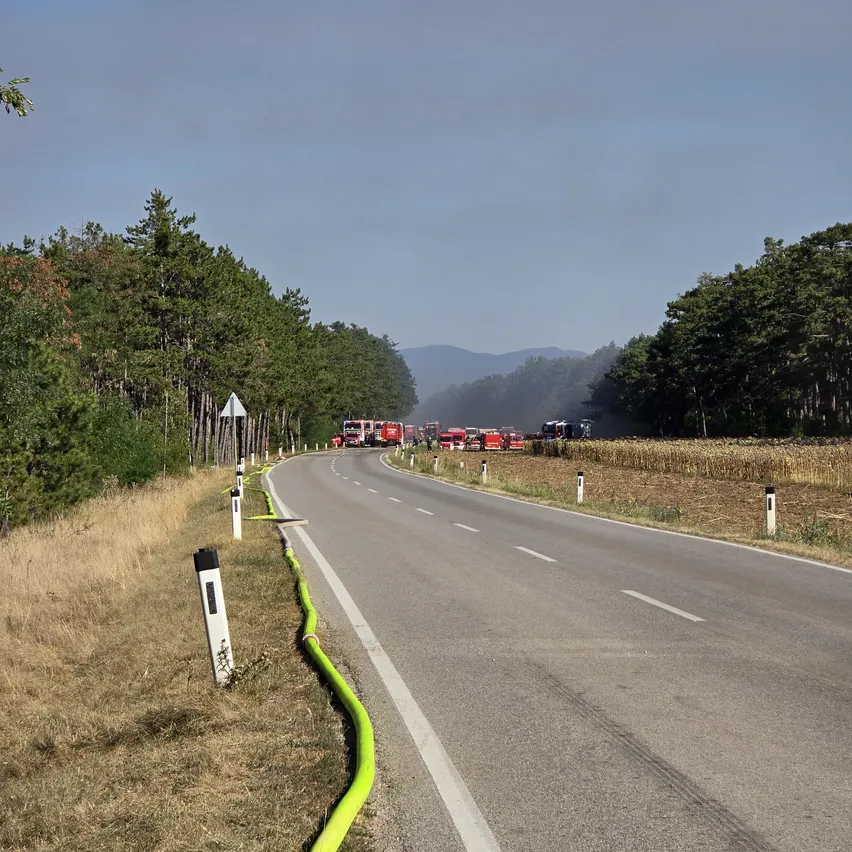 Eine Straße mit geparkten Feuerwehrautos am Straßenrand, umgeben von Bäumen und einem Feld, mit Bergen in der Ferne.