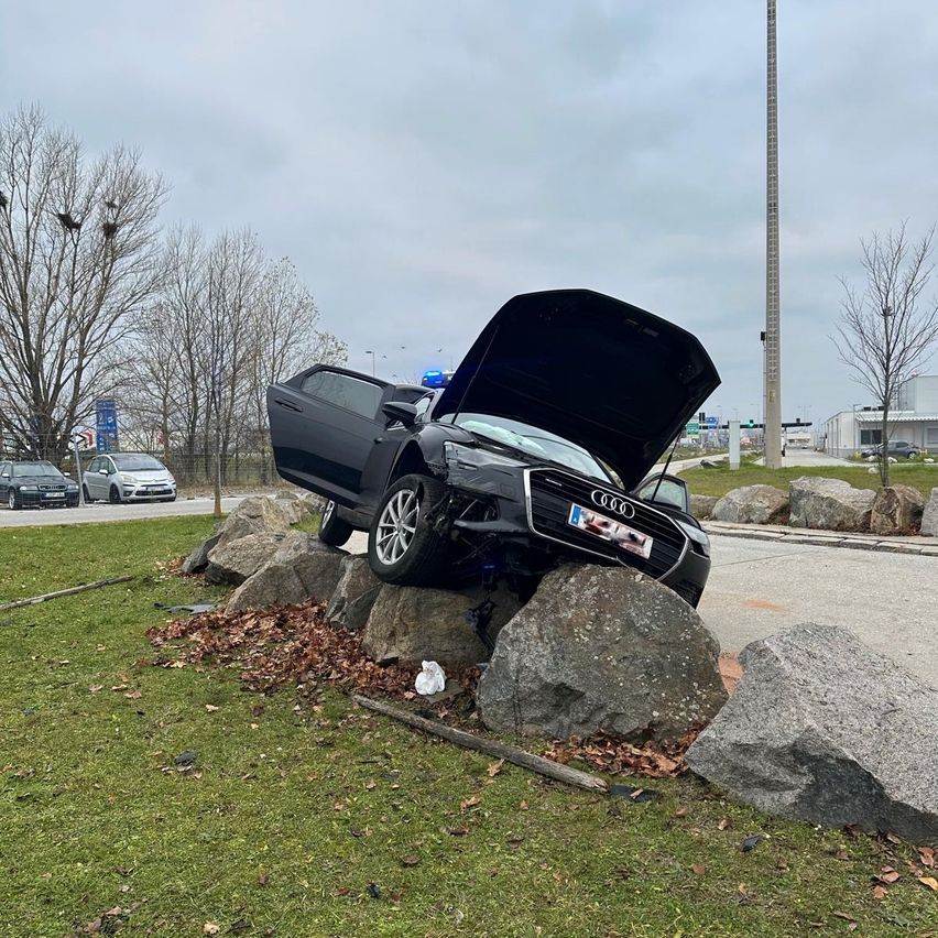 Bild enthält, Car, Transportation, Vehicle, Animal, Bird, Bumper