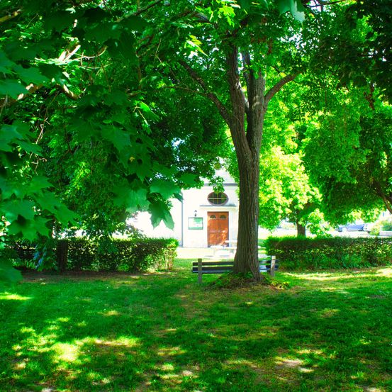 Eine friedliche Parkszene mit üppigen grünen Bäumen und Büschen. Eine Holzbank befindet sich unter einem hohen Baum, mit einem Kirchengebäude im Hintergrund.