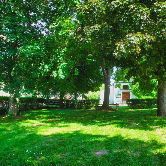 Ein sonniger Park mit üppigem grünem Laub und Gras. Im Hintergrund befindet sich ein weißes Gebäude mit einer braunen Tür und einer Bank davor.
