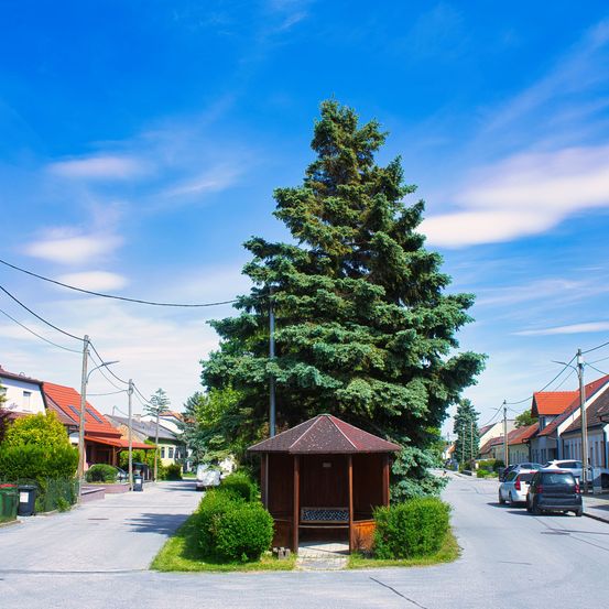 Eine Vorstadtstraße mit einem kleinen Holzpavillon und einem hohen immergrünen Baum in der Mitte. Der Himmel ist blau mit einigen Wolken, und es gibt Häuser und geparkte Autos entlang der Straße.