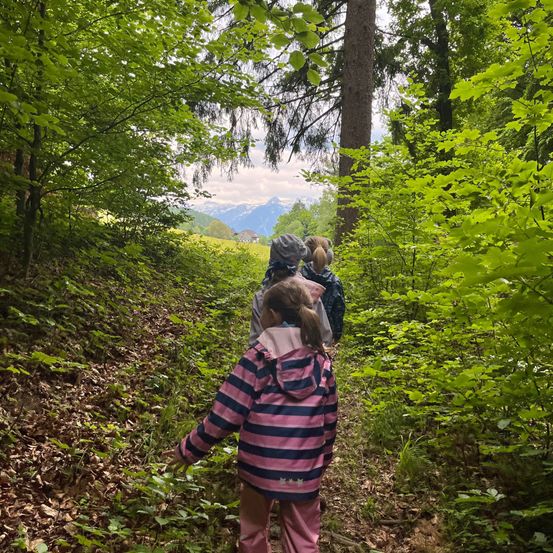 Drei Kinder wandern auf einem Waldpfad, umgeben von dichter Vegetation und Bergen in der Ferne. Ein Kind führt, trägt eine pinke und schwarze Jacke.