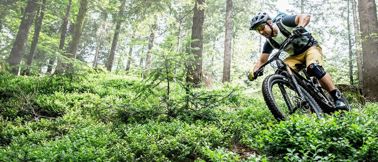 Bild enthält, Slope, Vegetation, Bicycle, Vehicle, Helmet, Adult, Male, Man, Person, Woodland