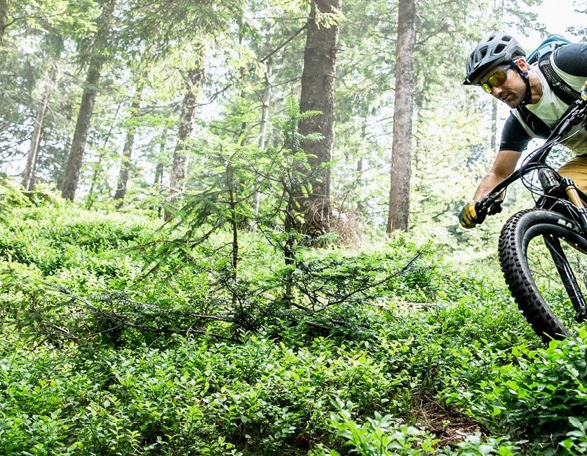 Bild enthält, Slope, Vegetation, Bicycle, Vehicle, Helmet, Adult, Male, Man, Person, Woodland