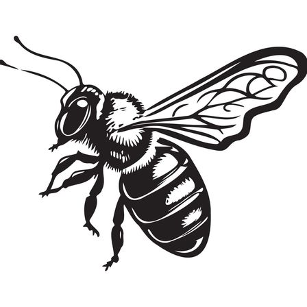 Bild enthält, Animal, Bee, Honey Bee, Insect, Invertebrate, Wasp, Dinosaur, Reptile