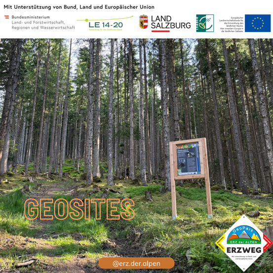 Ein Werbeplakat für Geosites in einem Wald. Das Plakat hat ein Schild, ein Grasfeld und Logos für Salzburg und die Europäische Union. Es wird unterstützt vom Bundesministerium, Land und Europäischer Union.