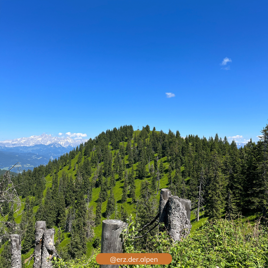 Blick auf einen grünen bewaldeten Hügel mit blauem Himmel, Wolken und Bergen in der Ferne. Im Vordergrund befinden sich einige Holzpfosten.