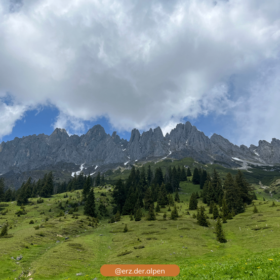 Eine Bergkette mit schneebedeckten Gipfeln unter einem bewölkten Himmel. Grüner Rasen und Kiefern bedecken die Hänge. Ein Wasserzeichen in der unteren rechten Ecke lautet '@erz.der.alpen'.