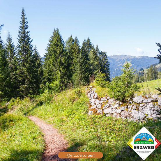 Ein Pfad schlängelt sich durch ein saftiges grünes Feld mit Nadelbäumen. Ein Steinwall ist im Hintergrund, mit Bergen sichtbar. Ein Erzweg-Schild ist im Vordergrund.
