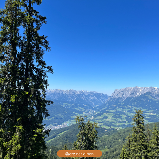 Ein Bergausblick zeigt einen klaren blauen Himmel und schneebedeckte Gipfel. Darunter erstrecken sich grüne Täler und ein Fluss. Bäume umgeben den Vordergrund. Ein Wasserzeichen lautet '@erz.der.alpen'.