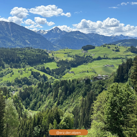 Eine landschaftliche Vogelperspektive eines grünen Tals, umgeben von hohen Bäumen und Bergen unter einem bewölkten Himmel. Ein Wasserzeichen mit @erz.der.alpen befindet sich unten.