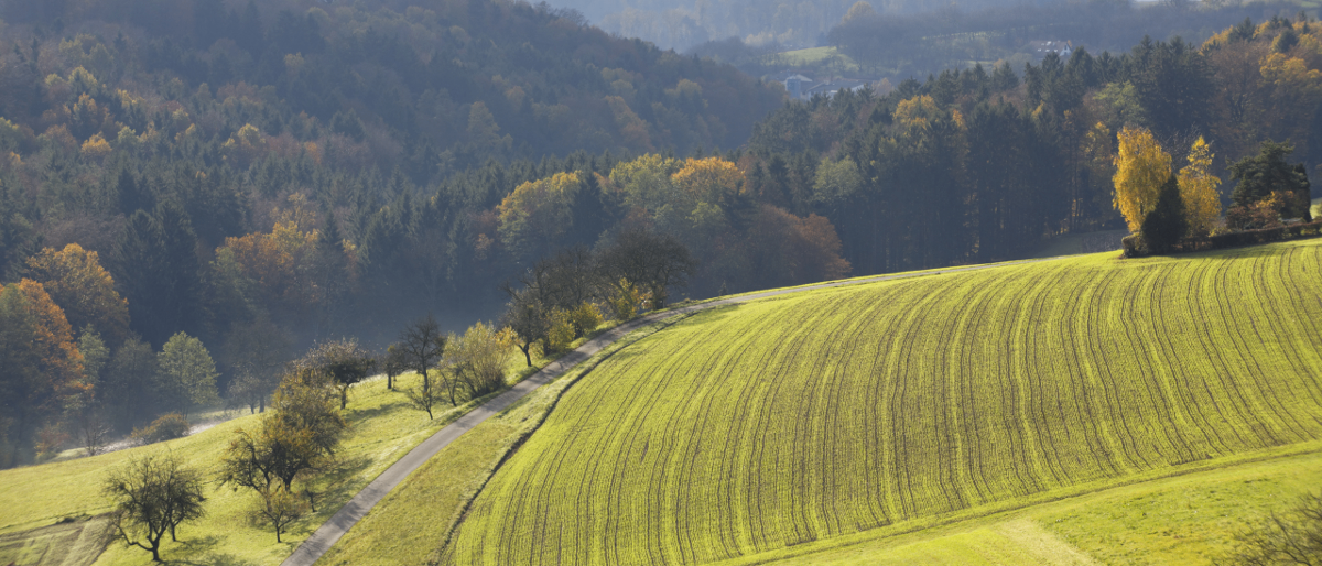 Bild enthält, Slope, Nature, Outdoors, Field, Grassland, Countryside, Hill, Scenery, Meadow, Plateau