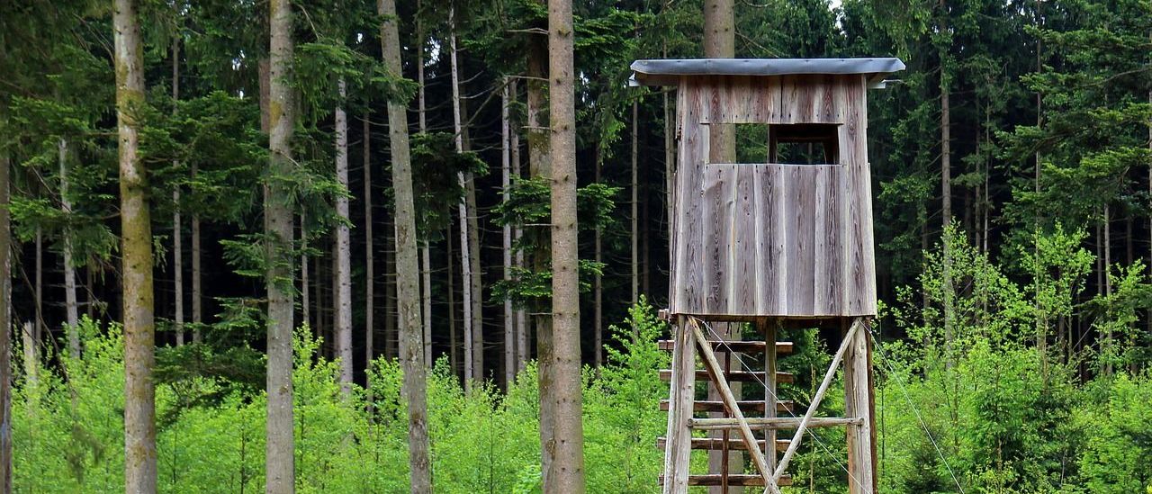 Bild enthält, Housing, House, Cabin, Outdoors, Shelter, Vegetation, Outhouse, Gate, Nature