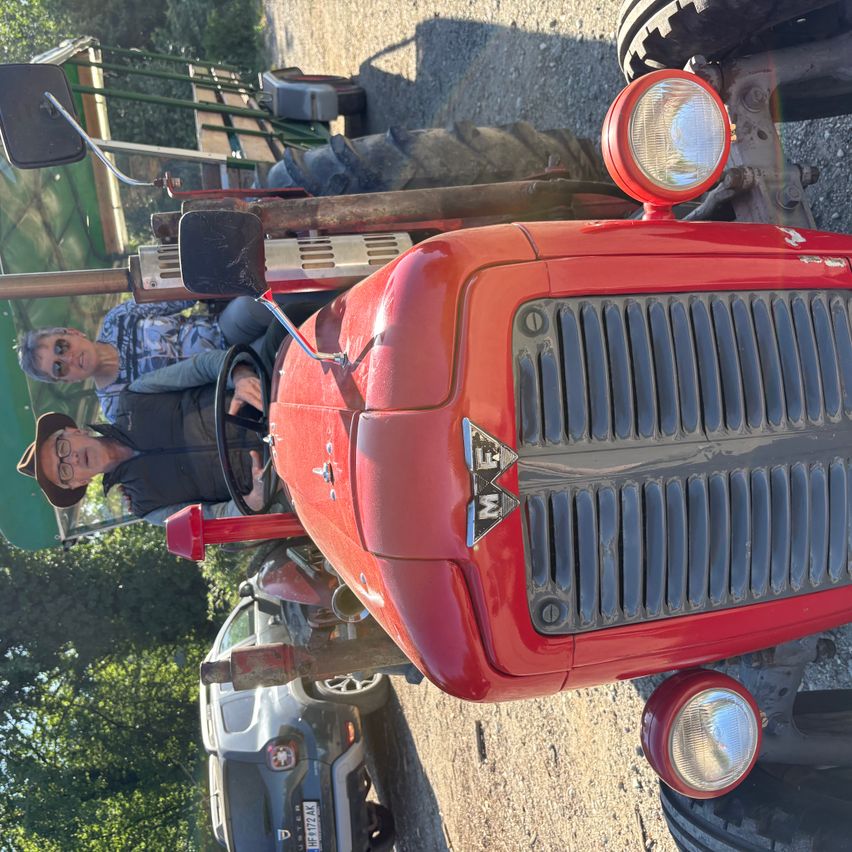 Two individuals in casual attire ride a red vintage tractor with the MF logo on the front. The tractor is parked on gravel with a car and trees in the background.