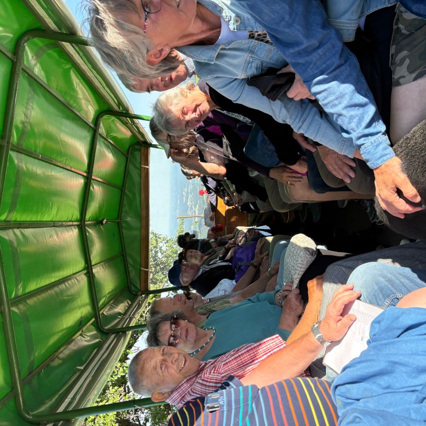 A group of older adults sit on a green bus, smiling and looking out the windows. Some wear glasses and hold cameras. The bus has green walls and a roof.