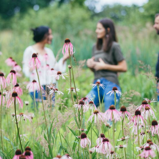 Bild enthält, Field, Grassland, Nature, Outdoors, Meadow, Grass, Daisy, Petal, Man, Person