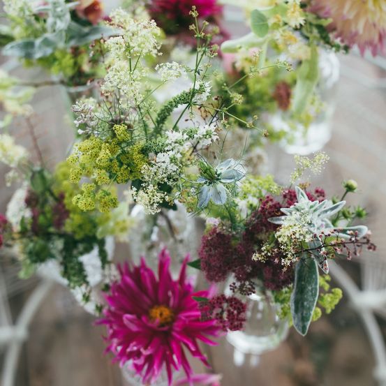 Bild enthält, Flower, Flower Arrangement, Plant, Flower Bouquet, Dahlia, Daisy, Floral Design, Pattern, Petal, Ikebana