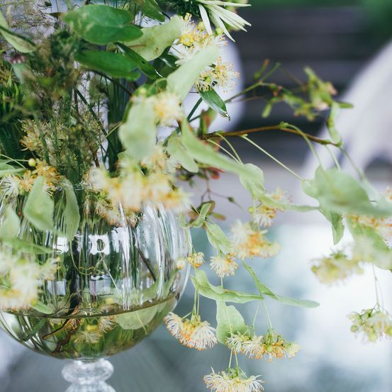 Bild enthält, Flower, Flower Arrangement, Plant, Flower Bouquet, Glass, Jar, Pottery, Goblet, Daisy