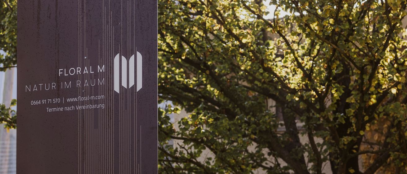 Bild enthält, Plant, Tree, Tree Trunk, Outdoors