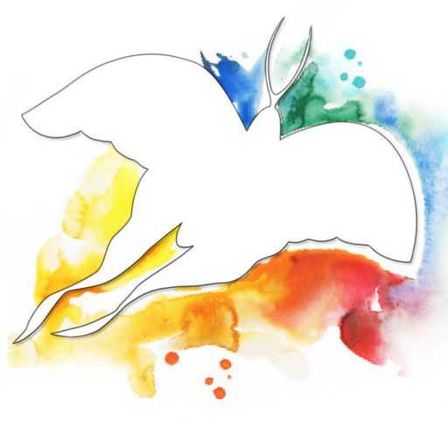 cropped-schmetterling