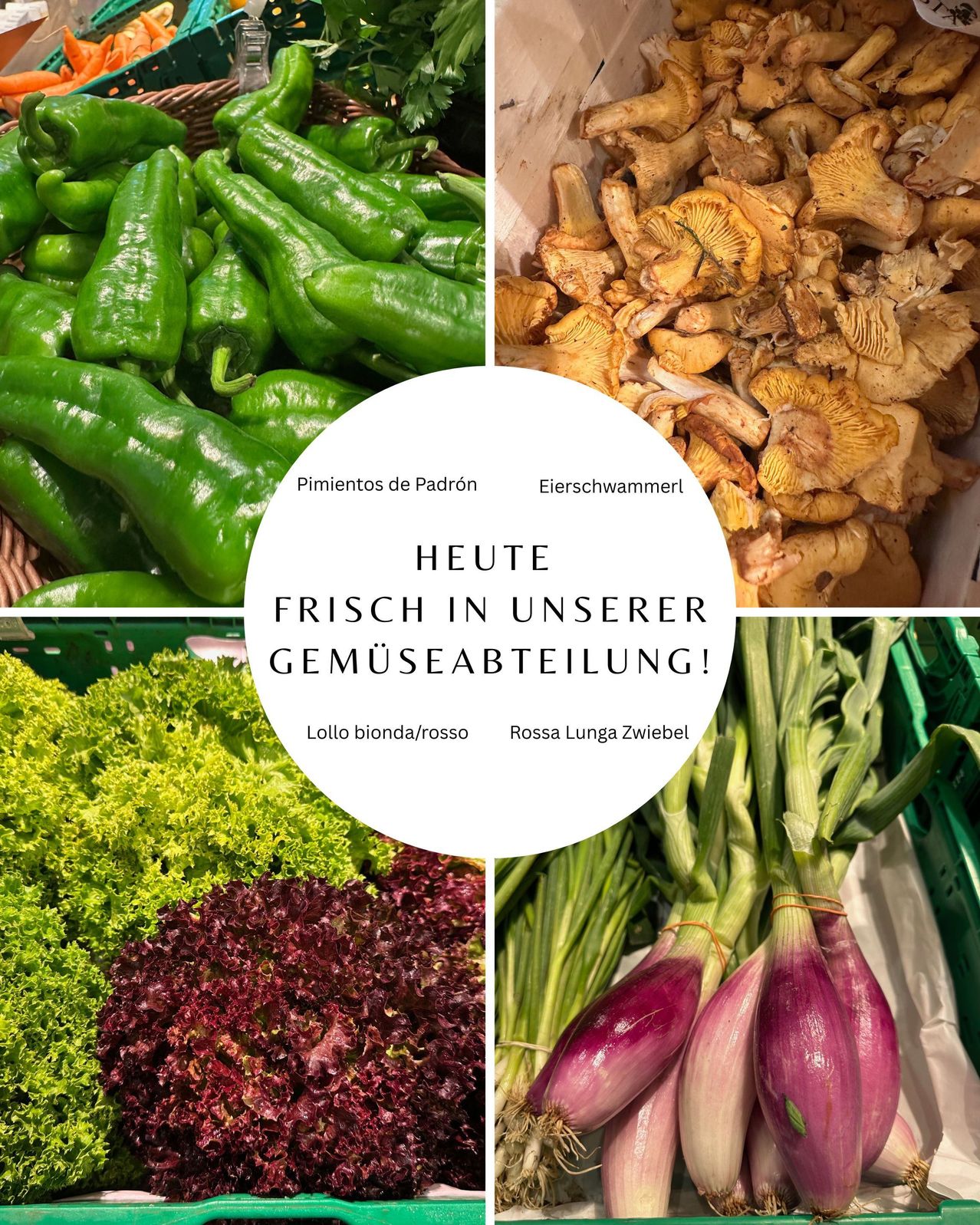 Eine Collage aus frischem Gemüse. Oben links: grüne Paprika. Oben rechts: Pfifferlinge. Unten links: rote und grüne Salate. Unten rechts: rote Zwiebeln. Mitte: Textüberlagerung auf Deutsch und Englisch.