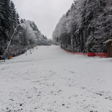 Eine verschneite Skipiste, gesäumt von Kiefern, mit orangefarbenen Barrieren an den Seiten. Der Himmel ist bedeckt.